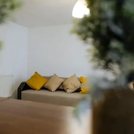 Downtown Studio Apartment Brasov