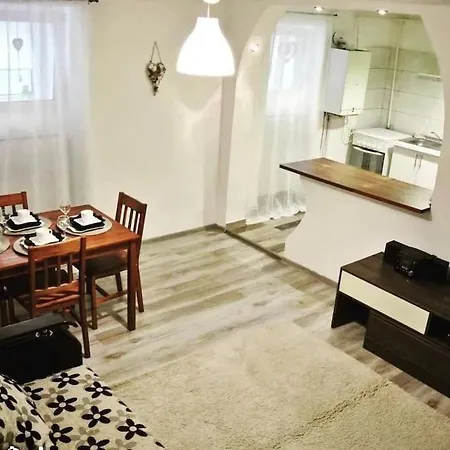 Apartment Downtown Studio Brasov