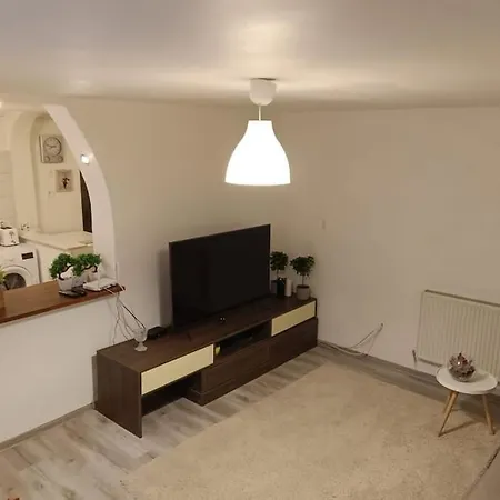 Apartment Downtown Studio Brasov
